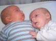 Mika, geb. 19.04.12, 2690g, 47cm und Lina, geb. 19.04.12, 2440g, 48cm.JPG