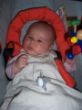 Lisa, geb. 29.06.14, 3280g,52cm.JPG