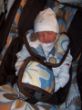 Nick, 30.07.16, 2660g, 45 cm.JPG