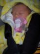 Natisha, geb. 07.11.16, 2710g, 50 cm.JPG