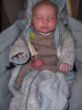 Lilly, geb. 30.03.17, 3690g, 53 cm .JPG