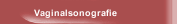 Vaginalsonografie
