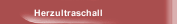 Herzultraschall